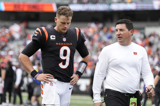 Previewing the Cincinnati Bengals Quarterbacks